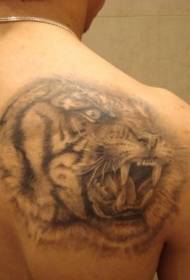 omuz gri kükreyen Tiger kafa dövme deseni