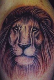 男肩棕色獅子頭紋身圖案