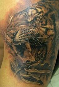 immagine del tatuaggio testa di tigre ruggente vivido colore della spalla