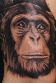 wettig realistiese swart en wit sjimpansee kop tattoo
