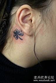 vzorec tetovaže glave: vzorec tatoo ušesne detelje