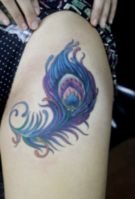 thigh only beautiful peacock feather tattoo pattern
