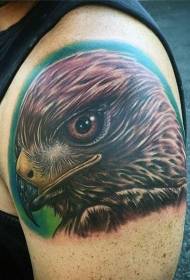 Patrón de tatuaxe de águila detallada de cores grandes
