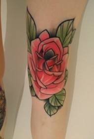 Gambe tatuate Gambe per ragazze Immagini colorate di tatuaggi rosa