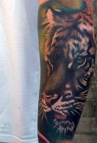 ruku lijepa obojena tigrasta glava realističan uzorak tetovaža