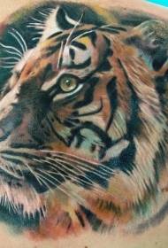 indietro bellissimo modello di tatuaggio testa di tigre