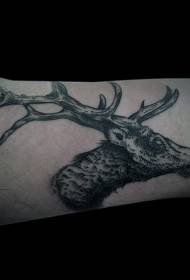 Crno-bijeli uzorak tetovaže na glavi jelena u obliku graviranja
