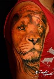 groot mooi leeu kop tattoo patroon