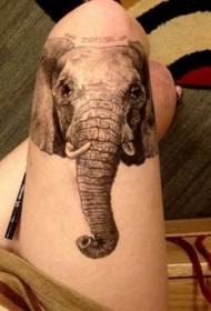 stegno realistična slonova glava in črka tatoo vzorec