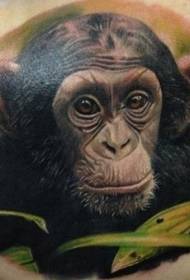 mudellu di tatuaggi di realisti di piante di chimpanzé realistiche di culore