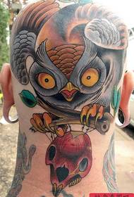 Uzorak tetovaža glave: Uzorak tetovaže glave crtani sova