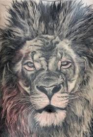 abdômen estilo realista preto e branco grande área cabeça de leão padrão de tatuagem