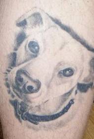 bijela glava štene realističan uzorak tetovaža
