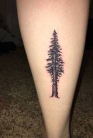 leg Tattoo swart en wyt griis styl libbensboom tatoetmateriaal lyts frisse plant tatoeage foto