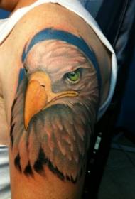 Velik barvni vzorec tatoo glave orel