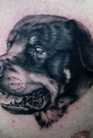 chifuwa wokongola wakuda ndi woyera Rottweiler tattoo