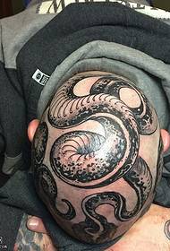 modello di tatuaggio serpente tatuato testa