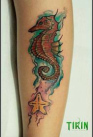 buzağı hipokampus denizyıldızı sıçrama mürekkep suluboya dövme deseni