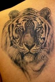 modello di tatuaggio realistico testa di tigre nera indietro