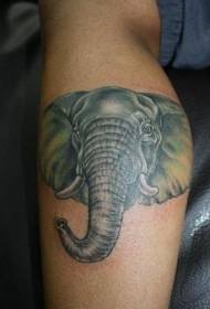 calf simple color realistic elephant Head tattoo pattern