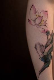 tele tele uzorke lotus oslikane tetovaža uzorak 36207 crtani Mickey Mouse tetovaža uzorak