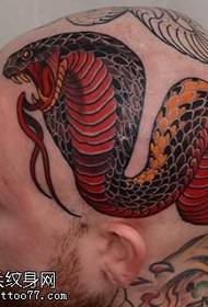modello tatuaggio testa di pitone