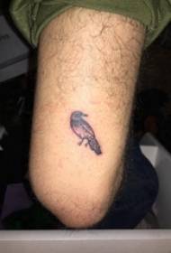 pájaro tatuaje 3d pierna masculina pájaro negro tatuaje foto