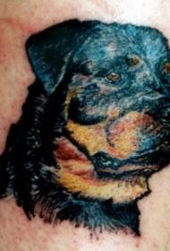 pola tato avatar kepala Rottweiler hitam yang indah