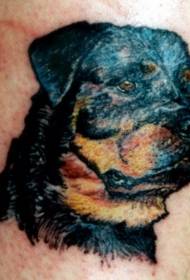 beautiful black Rottweiler head avatar tattoo pattern