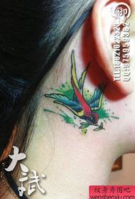 mergaitės ausies gražios spalvos mažos kregždės tatuiruotės modelis
