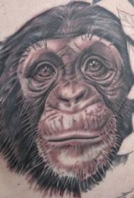 simpatico motivo a tatuaggio testa di scimpanzé grigio nero