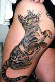 pernas femininas moda gato bonito tatuagem padrão