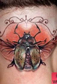 un travagliu di tatuaggi di insetti di testa hè spartutu da u spettaculu di tatuaggi 35849 - un travagliu creativo di tatuaggi di testa