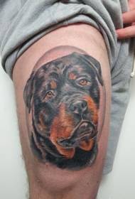 apata ụkwụ Ahịrị mara mma ma dị mma Rottweiler isi tattoo tattoo