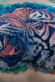 back wonderful big tiger head tattoo pattern