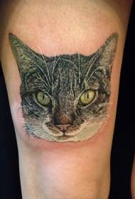padrão de tatuagem de cabeça de gato bonito cor realista