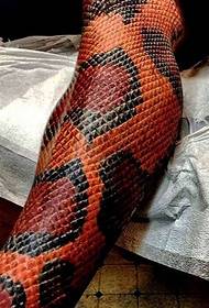 perna imaxe de tatuaxe de pel de serpe máxica de cores