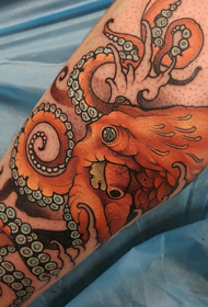 Style traditional c novus color exempla et stigmata