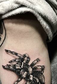 gambe d'omi Un mudellu di tatuaggi di tarantula 3d