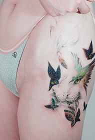 女性个性创意蝴蝶和猫纹身