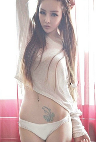 sexy Girl የሆድ ቆንጆ የዶልፊን ንቅሳት