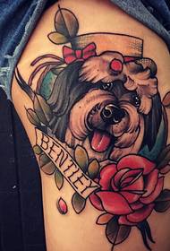 kedvtelésből tartott kutya tetoválás 39354-Tag csak gyönyörű páva toll tetoválás