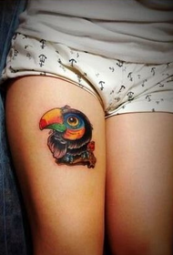 Kafafu masu kwalliyar kwalliyar kwalliya kyakkyawa mai kyau toucan tattoo siffa