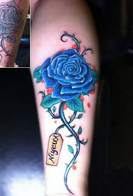 Gambe rosa antico modificato mappa