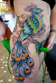 kvinnlig sida midja sexig påfågel tatuering mönster
