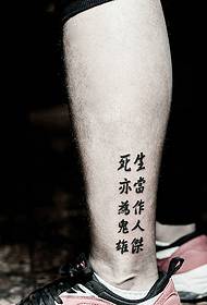 Mga natatanging Tsino na character na tattoo tattoo 38586-guya Isang makulay na bulaklak na cat tattoo na larawan