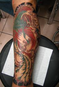 Makulay na Phoenix Tattoo sa guya