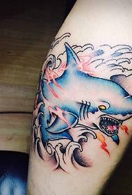 tato dolphin cilik kanggo kabeh wong
