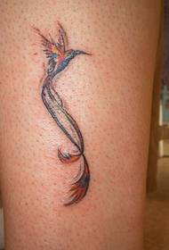 perna bella modella di tatuaggio di colibrisi