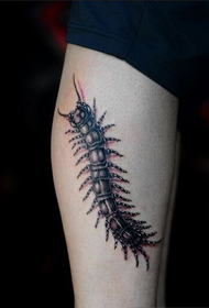 ličnost nogu moda lijepog izgleda 蜈蚣 uzorak tetovaže